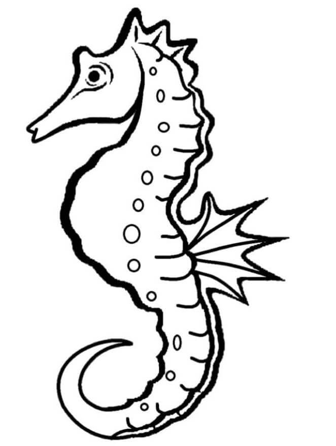 One Seahorse Coloring Page