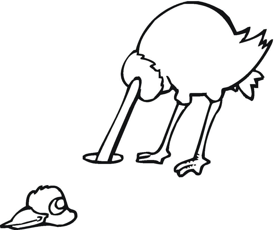 Ostrich 3 Coloring Page