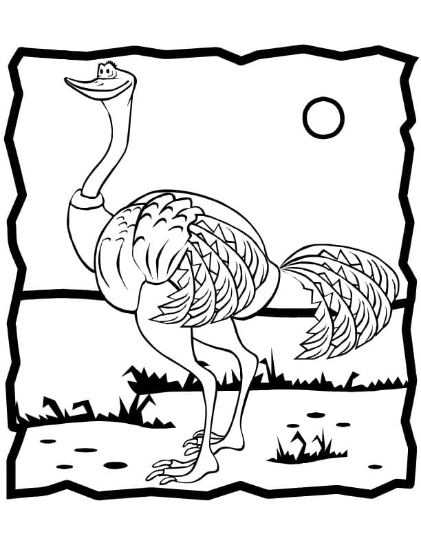 Ostrich 6 Coloring Page