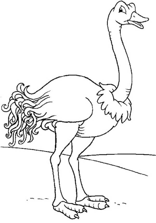 Ostrich 7 Coloring Page