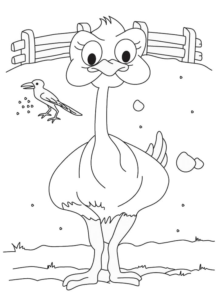 Ostrich and Bird Coloring Page