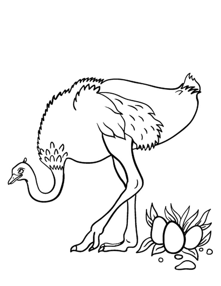 Ostrich and Eggs Coloring Page