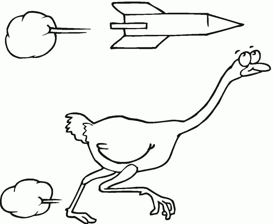 Ostrich and Rocket Coloring Page