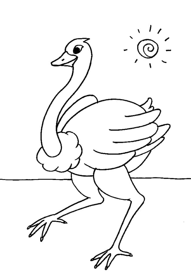 Ostrich and Sun Coloring Page
