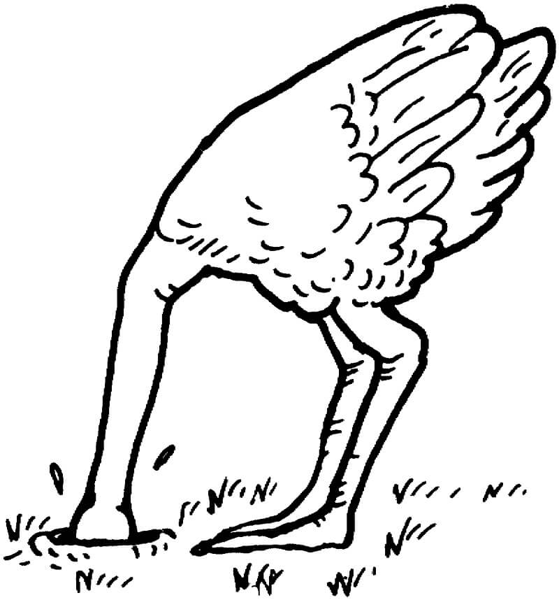 Ostrich Bury Head Sand Coloring Page