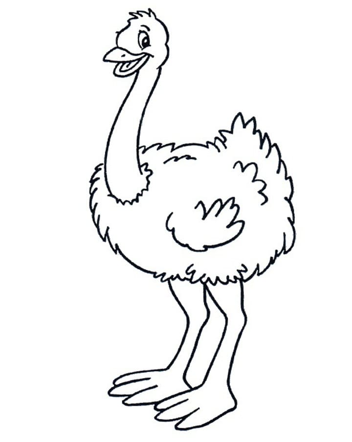 Ostrich is Smiling Coloring Page