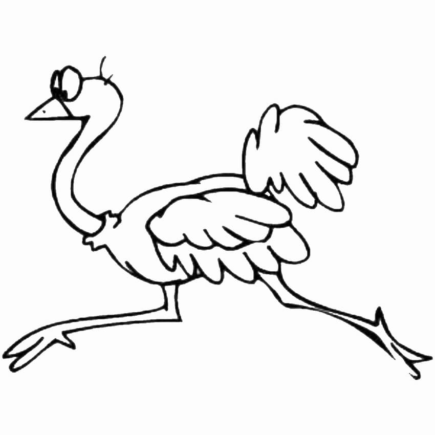 Ostrich Running Coloring Page