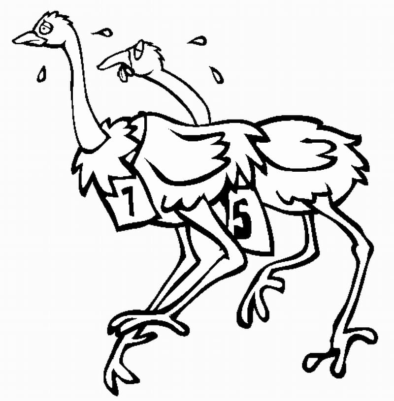 Ostriches are Racing Coloring Page