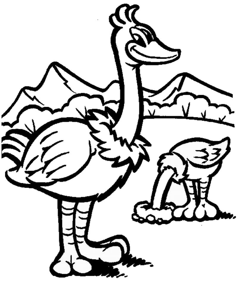 Ostriches Coloring Page