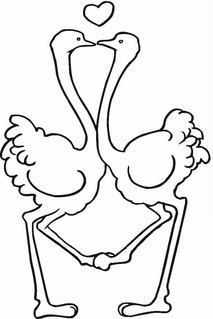 Ostriches in Love Coloring Page