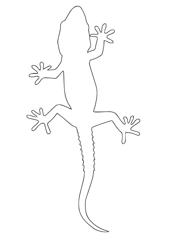 Outline Gecko Coloring Page