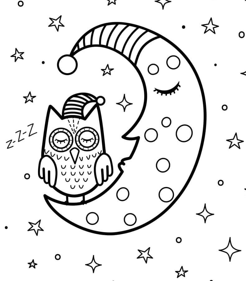 Owl and Moon Coloring Page