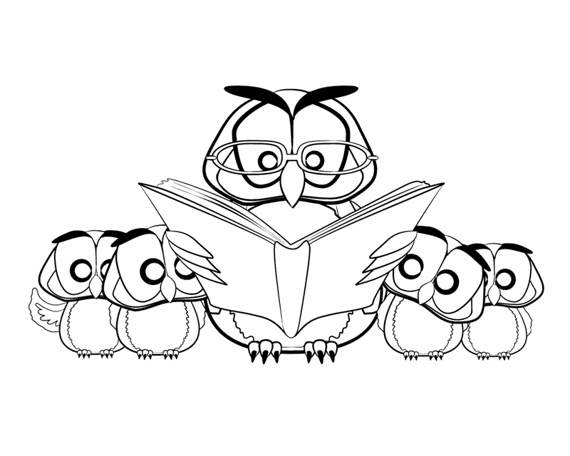 Owl Reading To Younglings