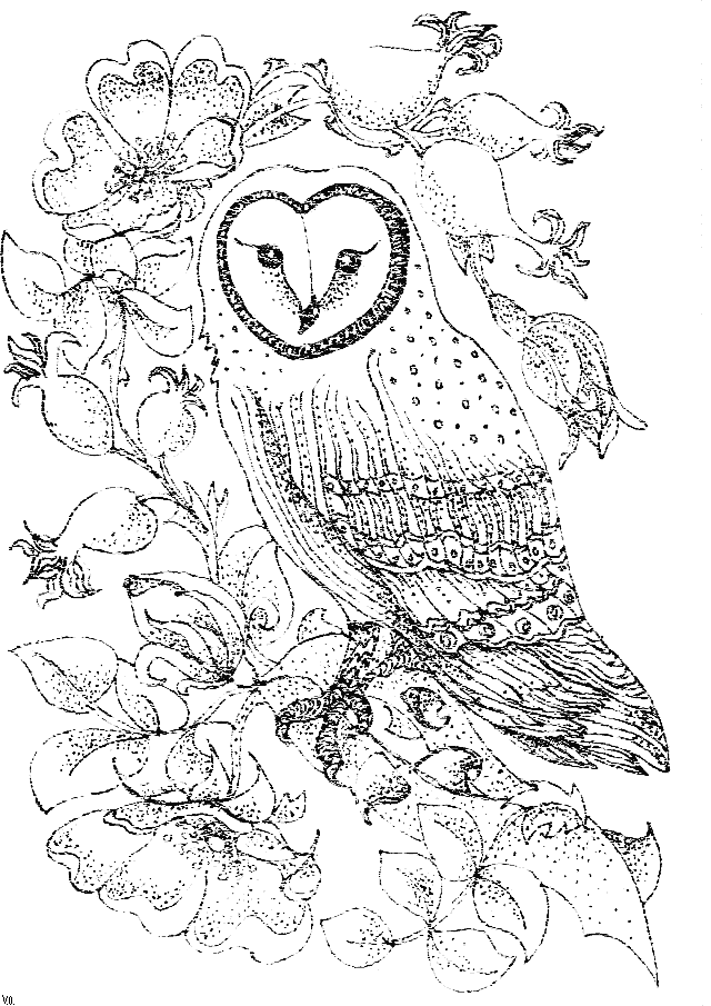 Owls To Print