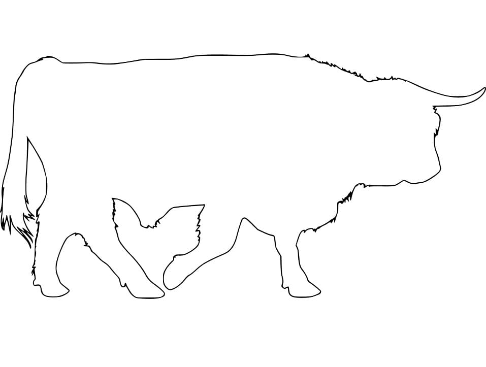 Ox Outline