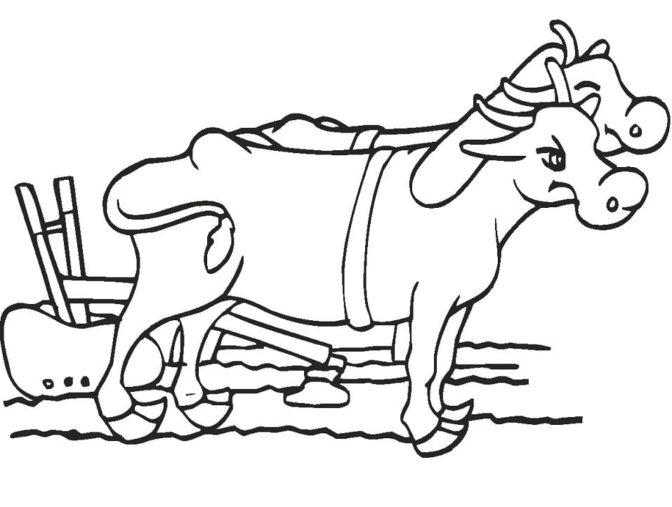 Oxen with Plow