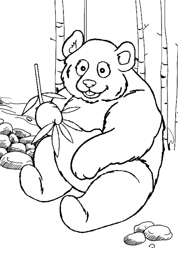 Panda Preschool S Zoo Animals1069 Coloring Page
