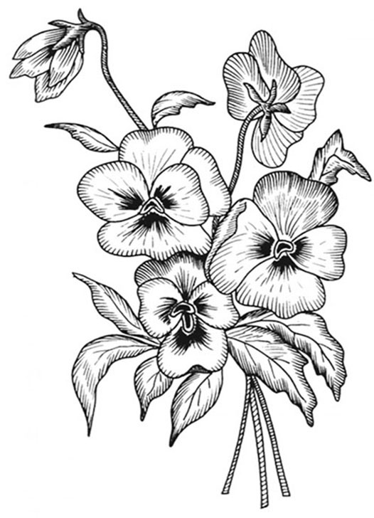 Pansy Bouquets Coloring Page
