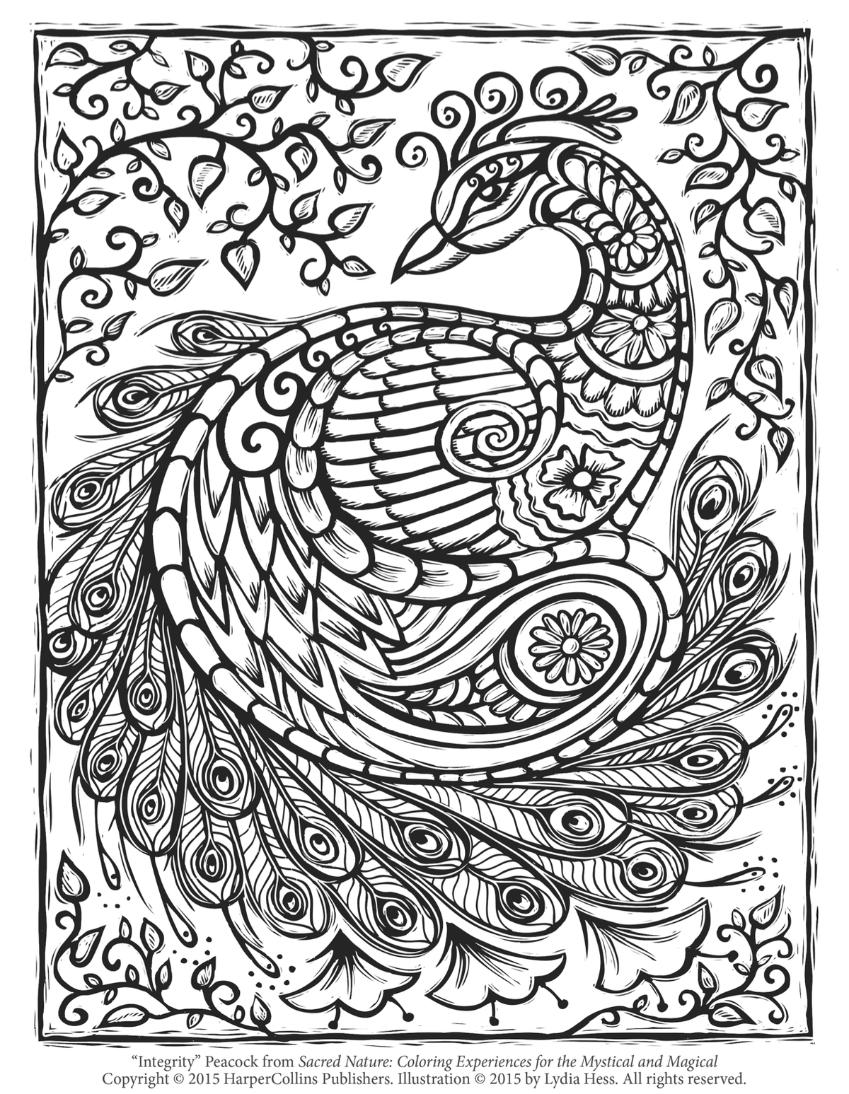Peacock Adult Hard Advanced Coloring Page