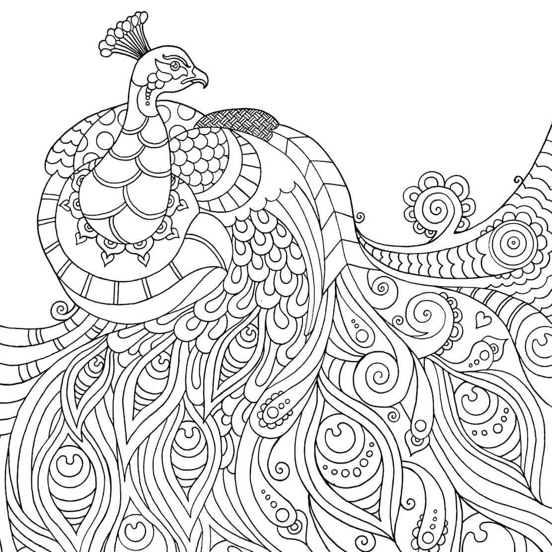 Peacock Mindfulness For Kids Coloring Page