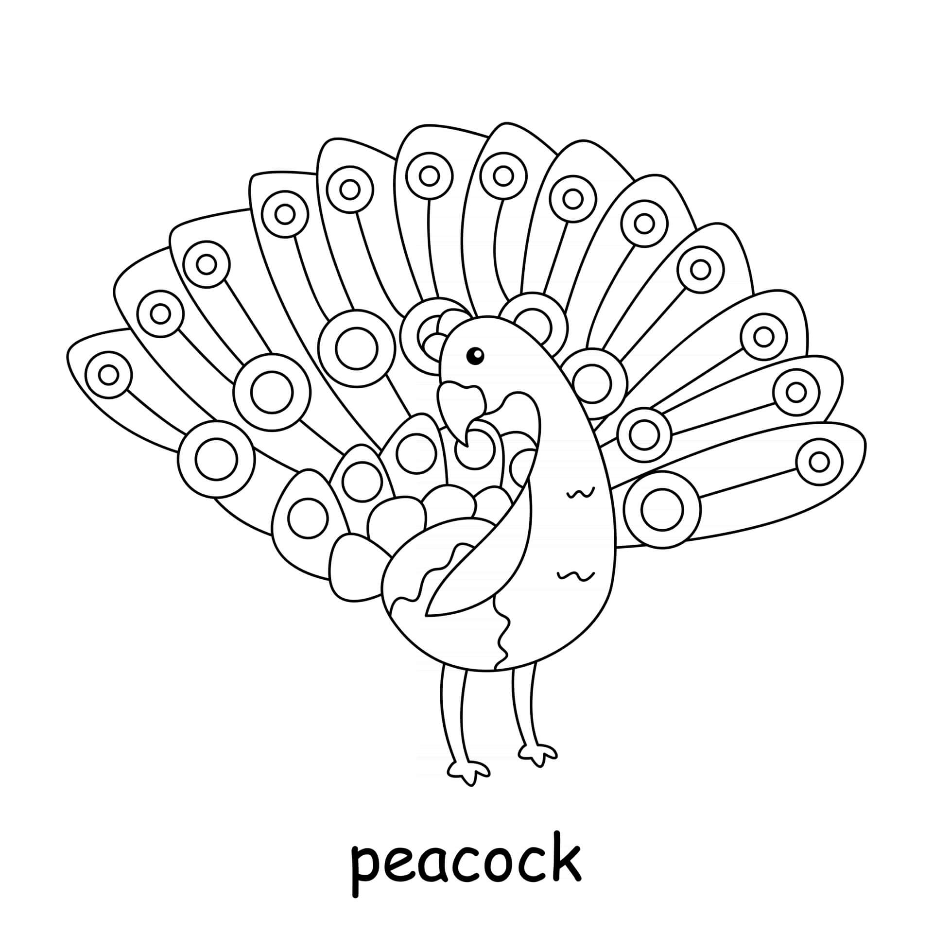 Peacok Coloring Page