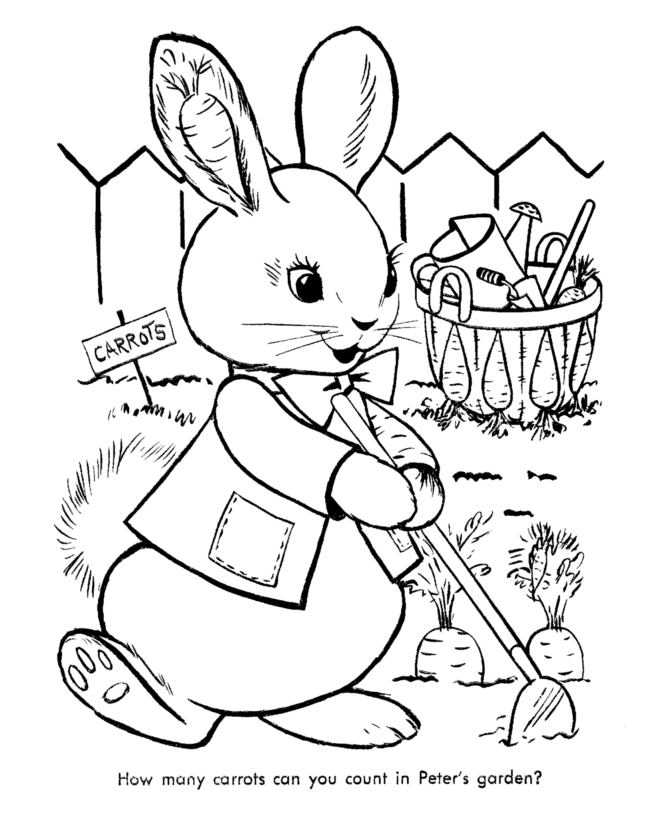 Peter Rabbits Carrot Garden