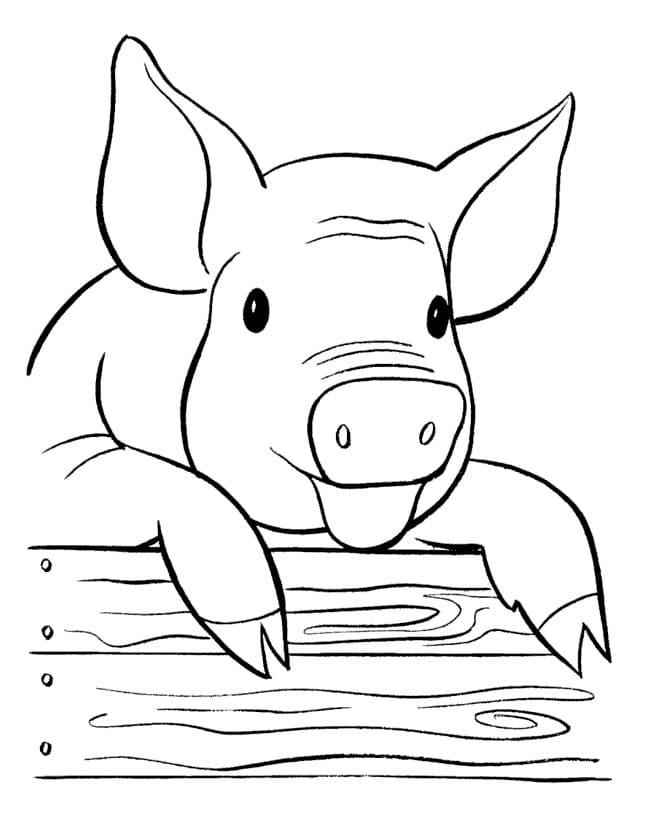 Pig 2 Coloring Page