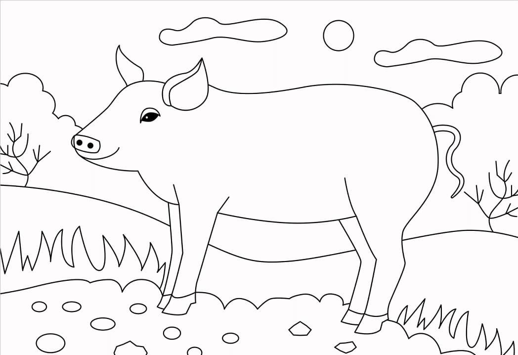 Pig 3 Coloring Page