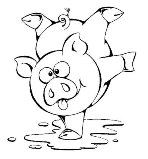 Pig Having Fun