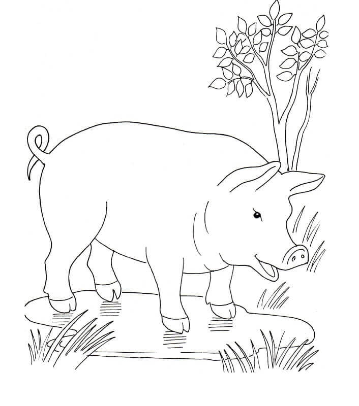 Pig In The Puddle Coloring Page