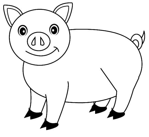 Pig is Happy