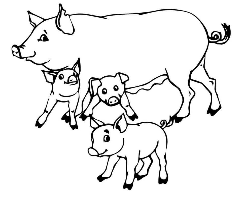 Pig Mother and Baby Pigs Coloring Page