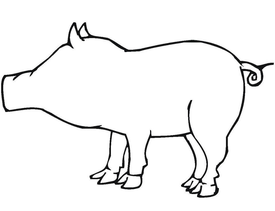 Pig Outline Coloring Page