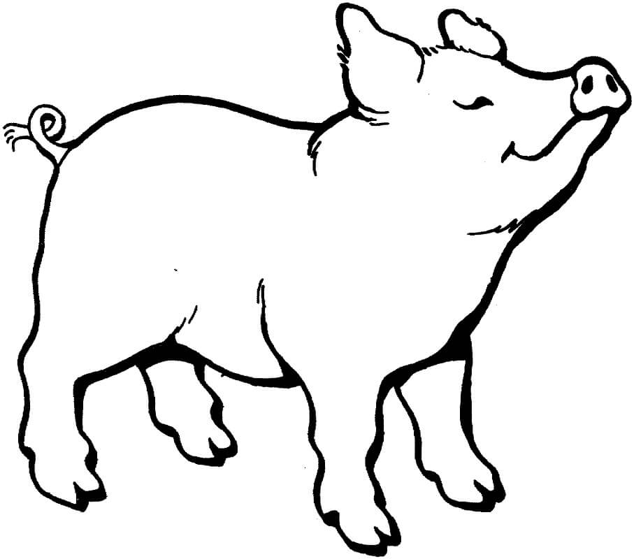 Pig Smells Something Coloring Page