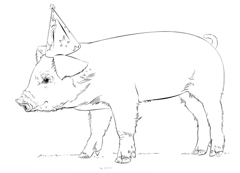 Pig with Party Hat Coloring Page