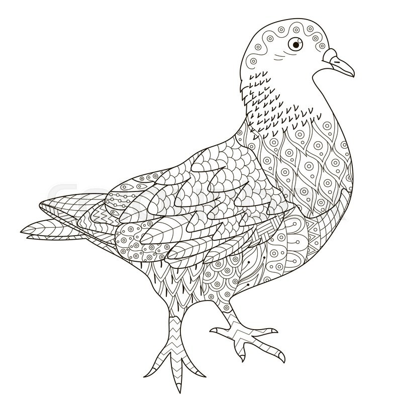 Pigeon Mandala