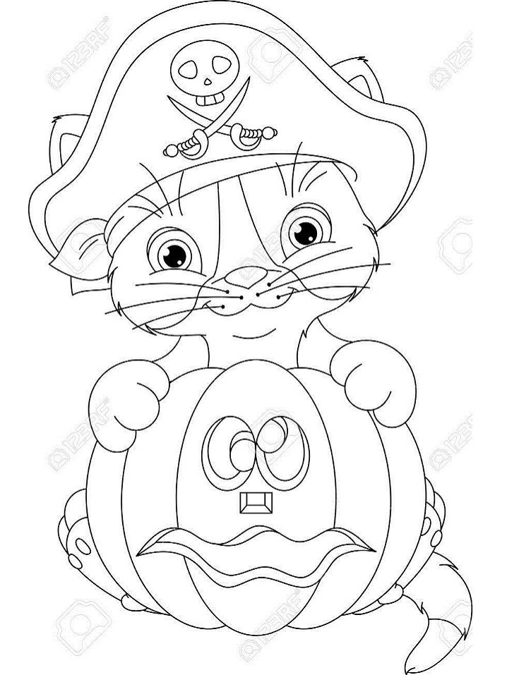 Pirate Kitten with Pumpkin Coloring Page