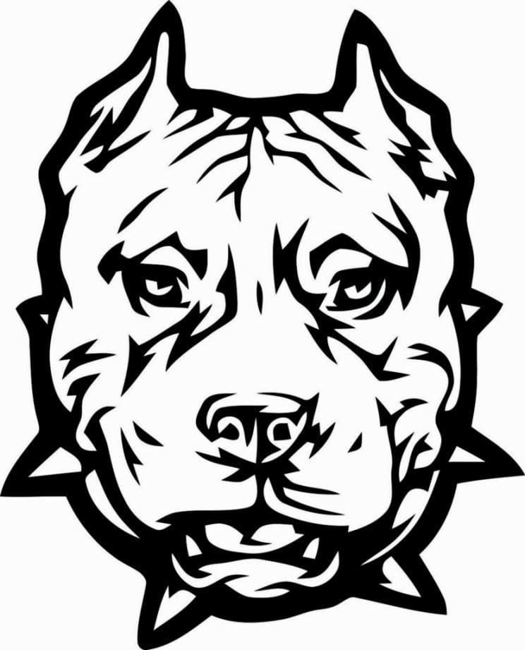 Pitbull Face Coloring Page