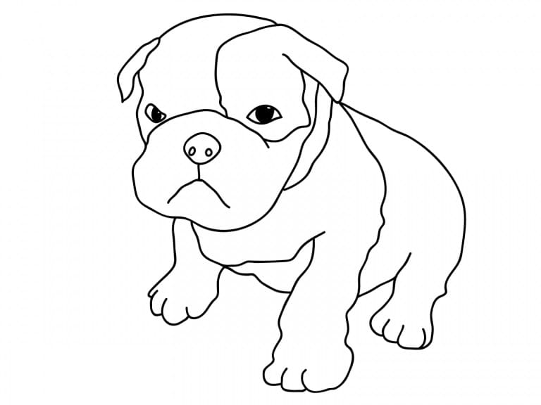 Pitbull Puppy Coloring Page