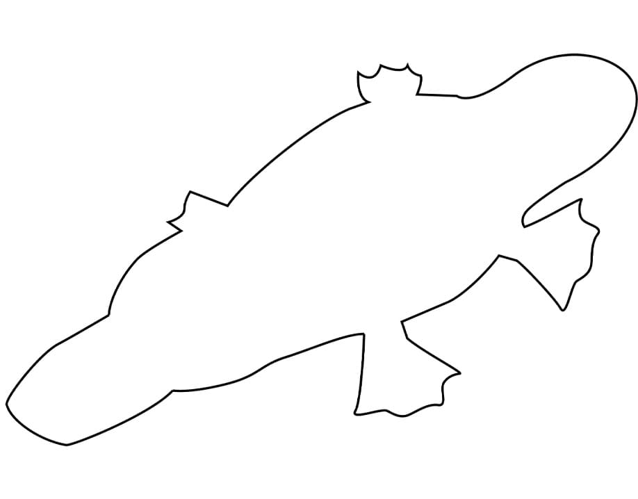 Platypus Outline 1