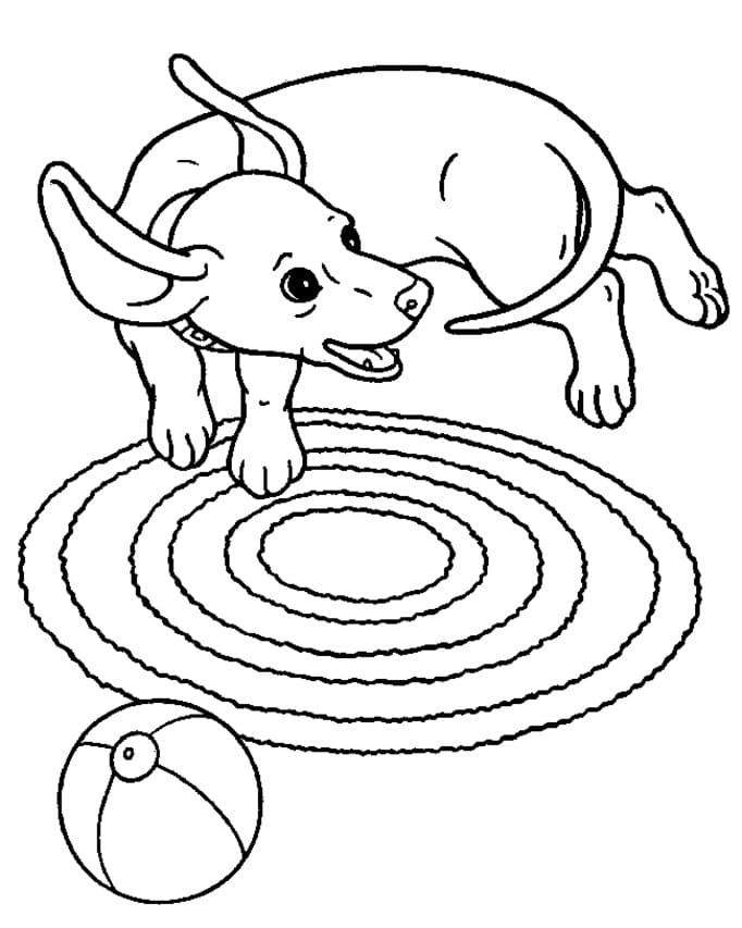 Playful Dachshund Coloring Page