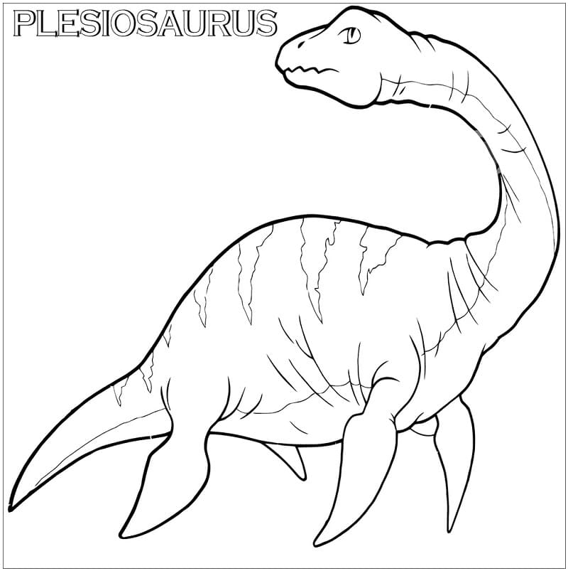 Plesiosaurus 3