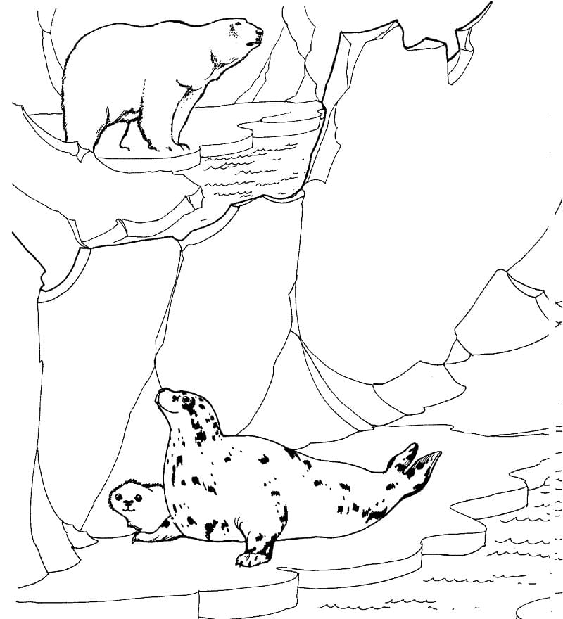 Polar Bear and Seals Coloring Page