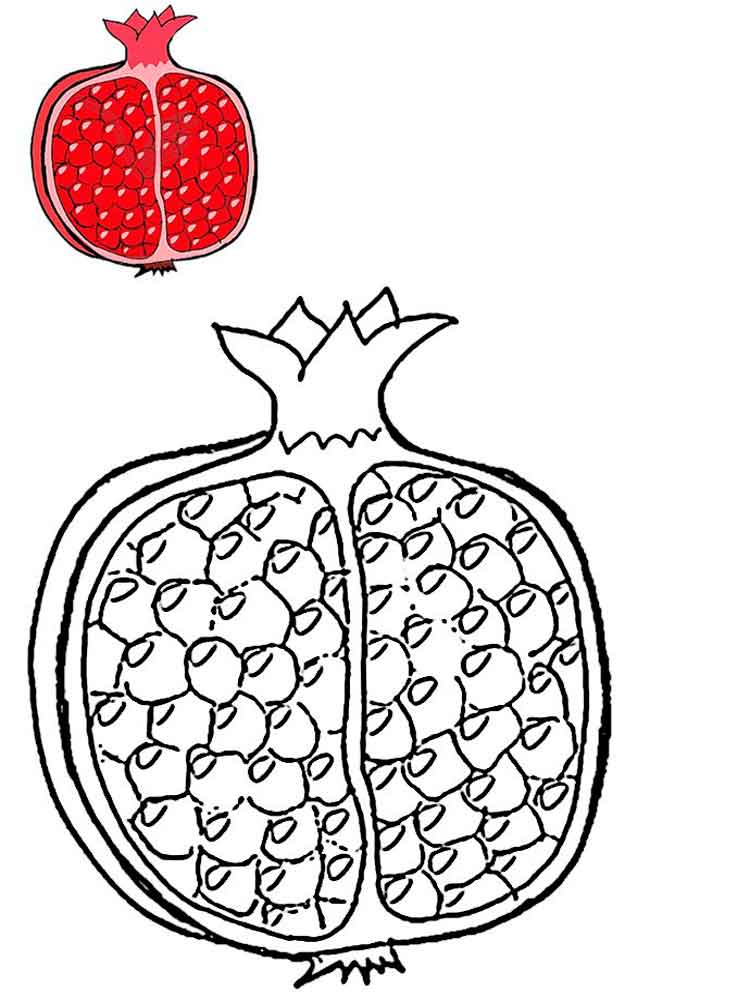 Pomegranate Fruit Sheet