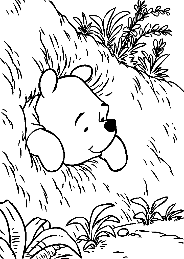 Pooh Out Of Hole Page8653 Coloring Page