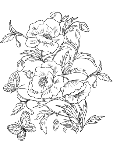 Poppies Blossom Coloring Page