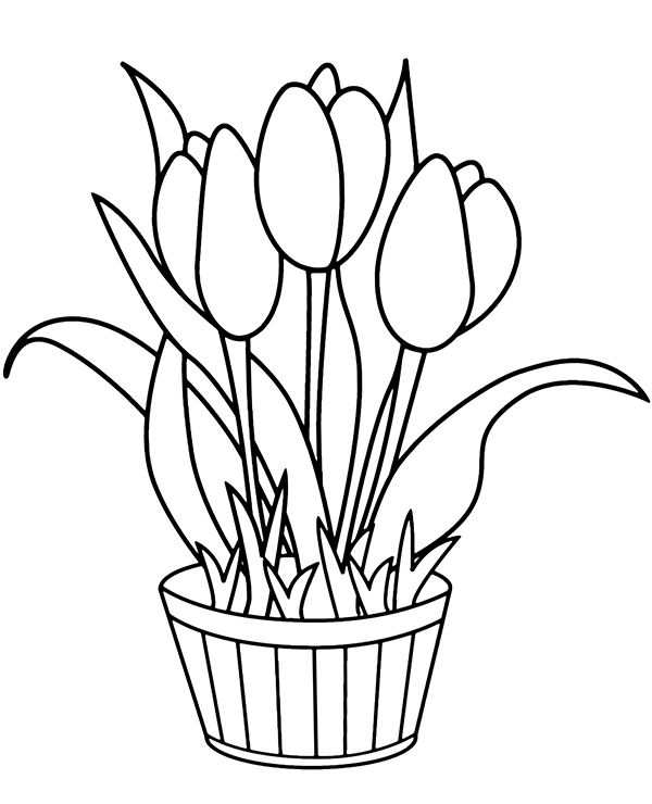 Pot With Tulips Coloring Page