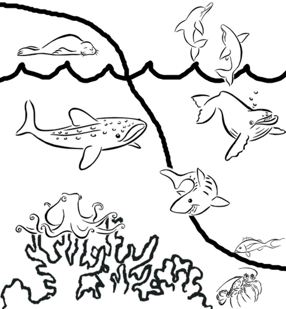Preschool S Of Sea Animals3664 Coloring Page