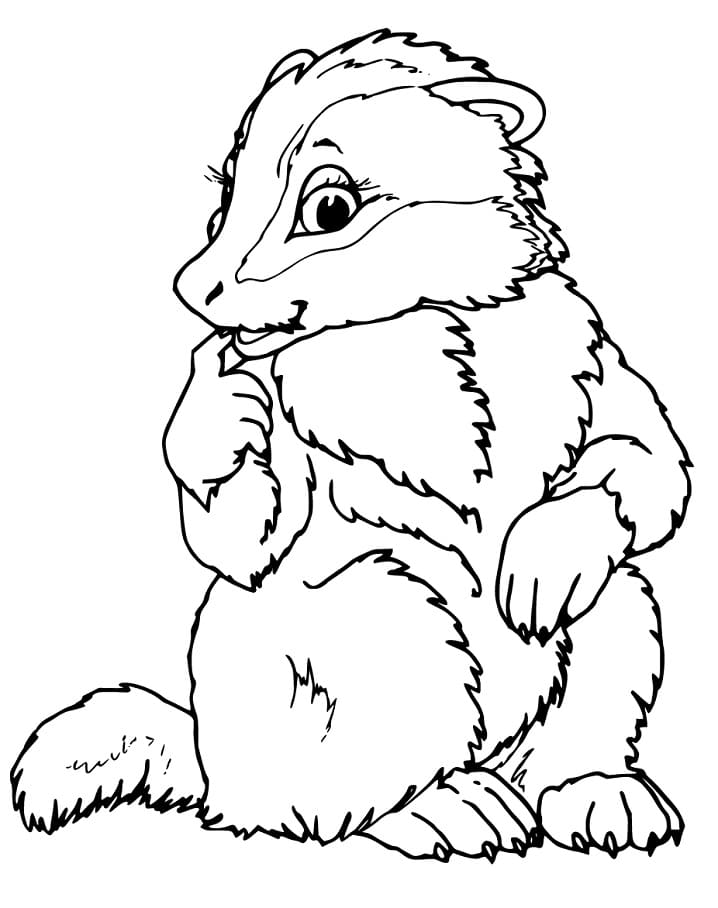 Pretty Badger Coloring Page