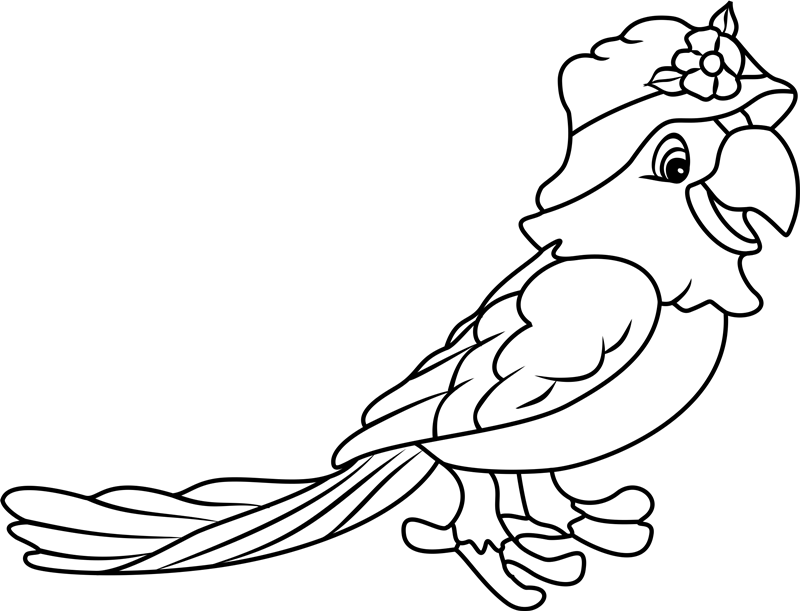 Pretty Parrot Coloring Page